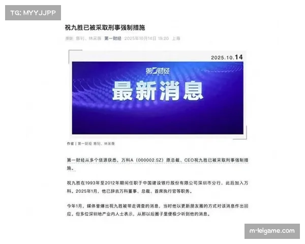 内政部长谴责尼斯暴力事件，强调将采取刑事措施